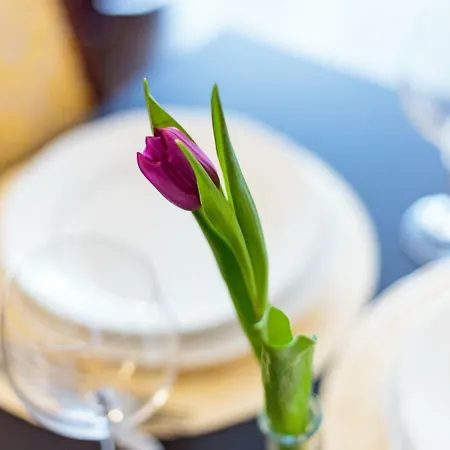 Romantic Close To The Old Town Vilnius