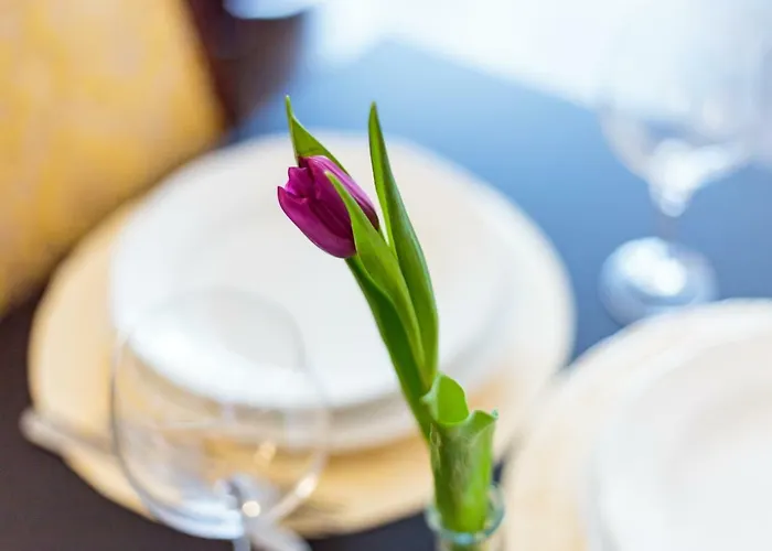 Romantic Close To The Old Town Βίλνιους